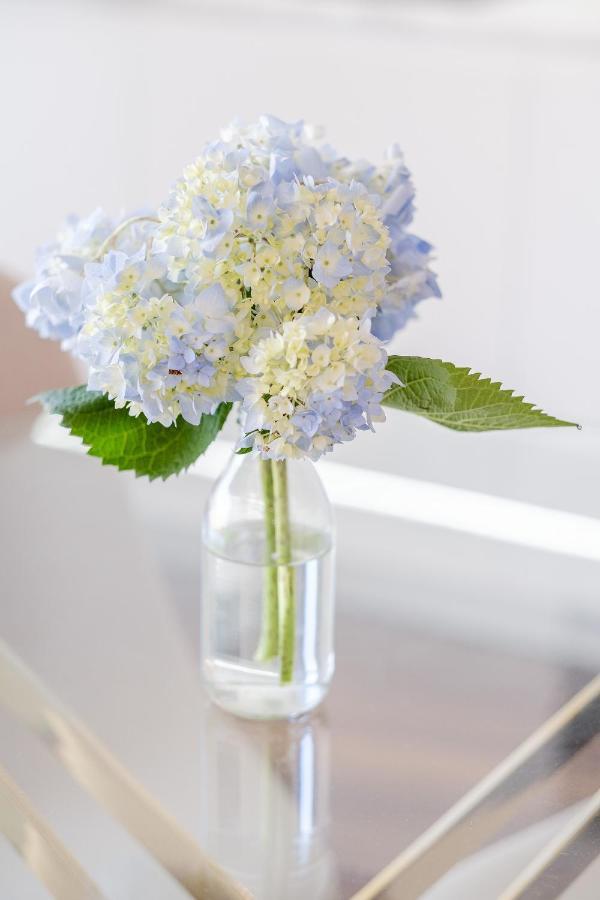 Boutique Rentals- Bliss By The Sea Apt- Ocean Views In Foz Beach Porto Bagian luar foto
